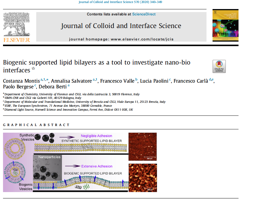 Paper: Biogenic supported lipid bilayers as a tool to investigate nano-bio interfaces
